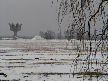 Il "fiore" di Jasenovac, fotografia di N. Cilinger